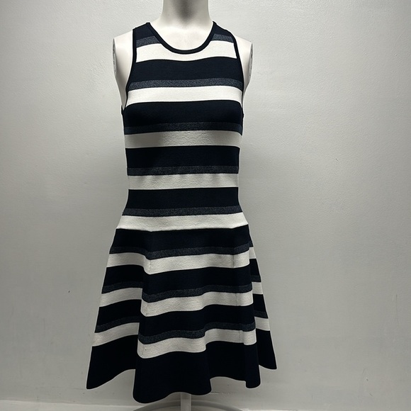 ALC Pippa Dress Knit Sleeveless Fit And Flare Mini Stripes Blue White Size XS - Picture 2 of 7